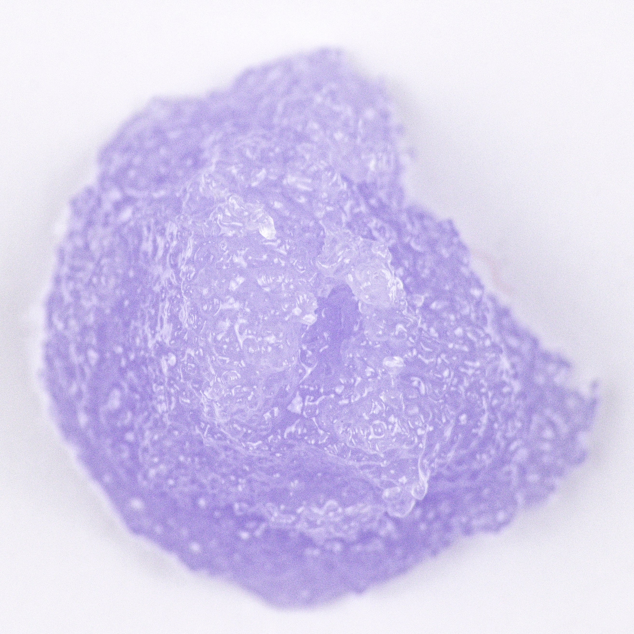 Textura de exfoliante corporal de lavanta de Onna Therapy.