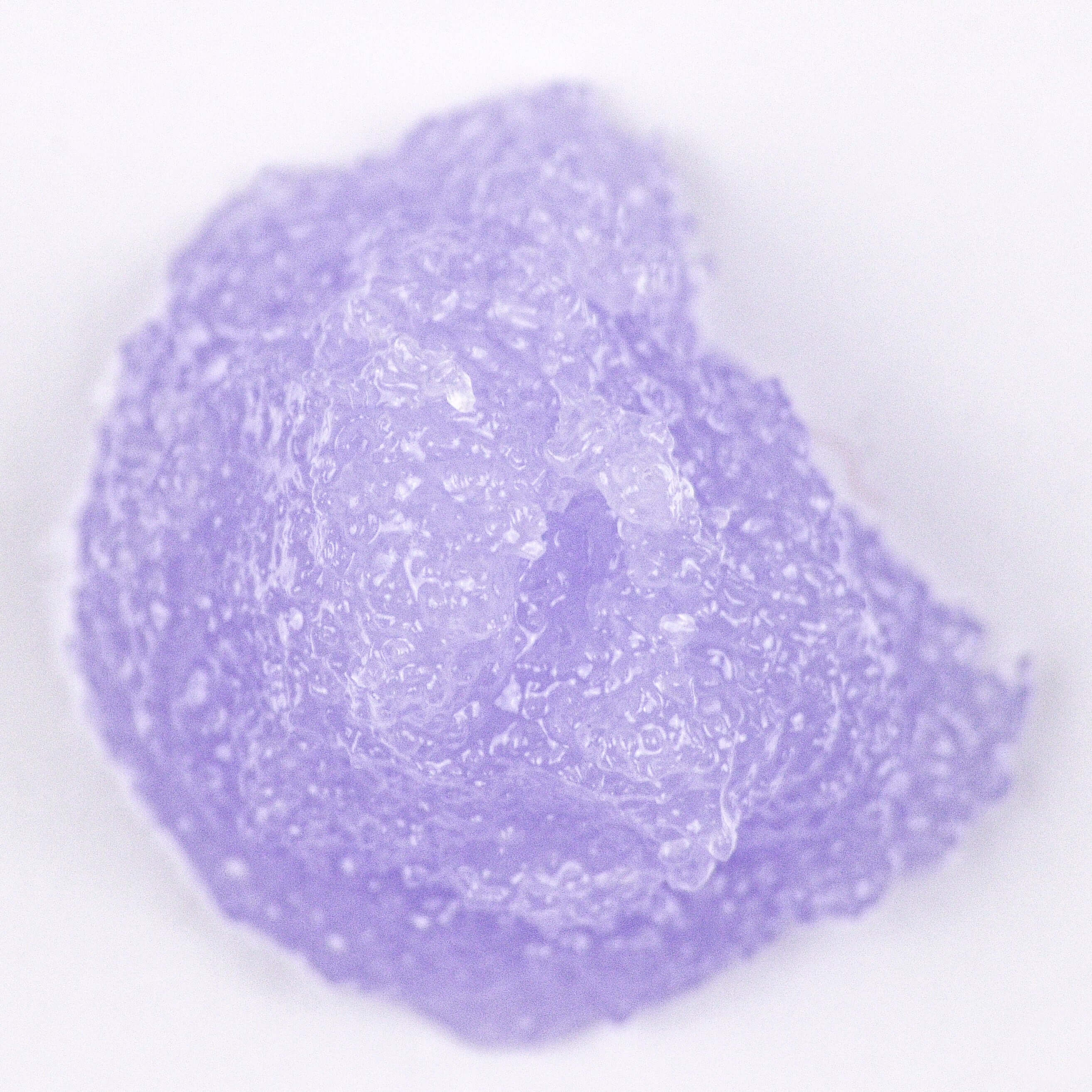 Textura de exfoliante corporal de lavanta de Onna Therapy.